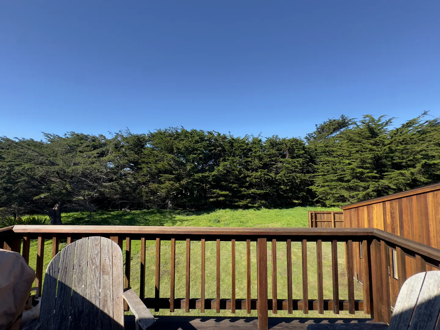 Wooden deck with railing looking out onto a grassy lawn and a dense line of evergreen trees under a clear blue sky.