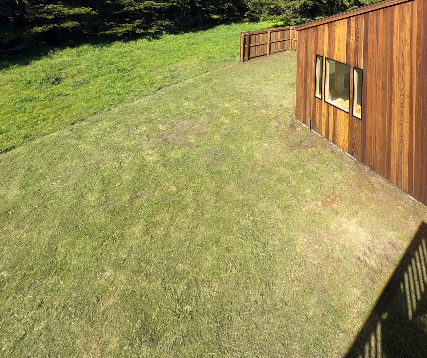 High-angle view of a grassy sloping yard alongside a wood-paneled building with modern windows and a wooden fence.