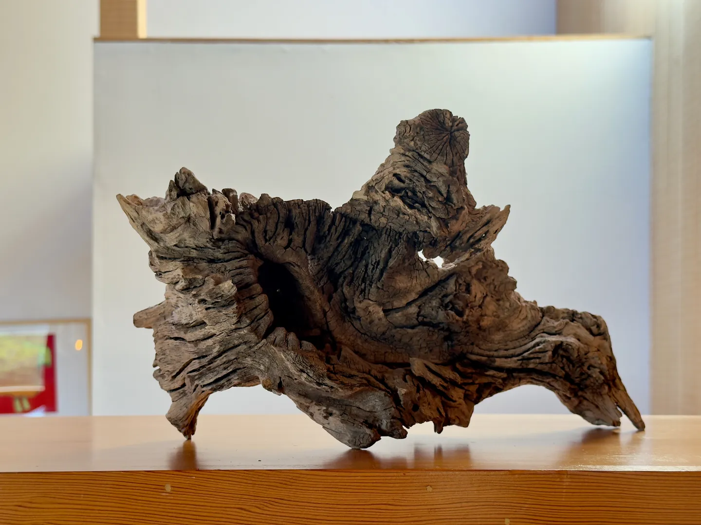 A textured piece of natural driftwood decor displayed on a polished wooden shelf.