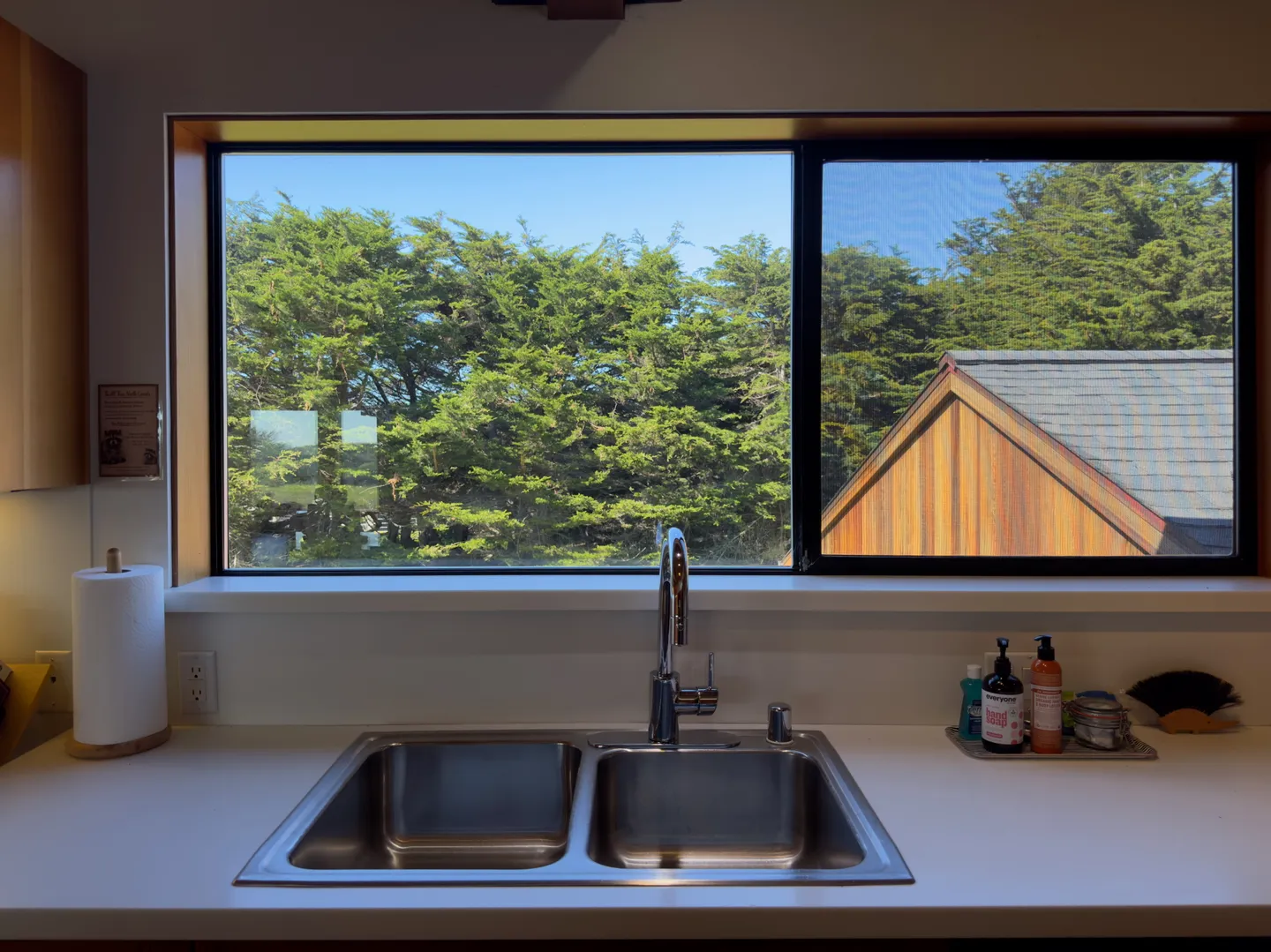 Double-basin stainless steel kitchen sink set beneath a wide horizontal window framing green trees, an adjacent roof, and blue sky.