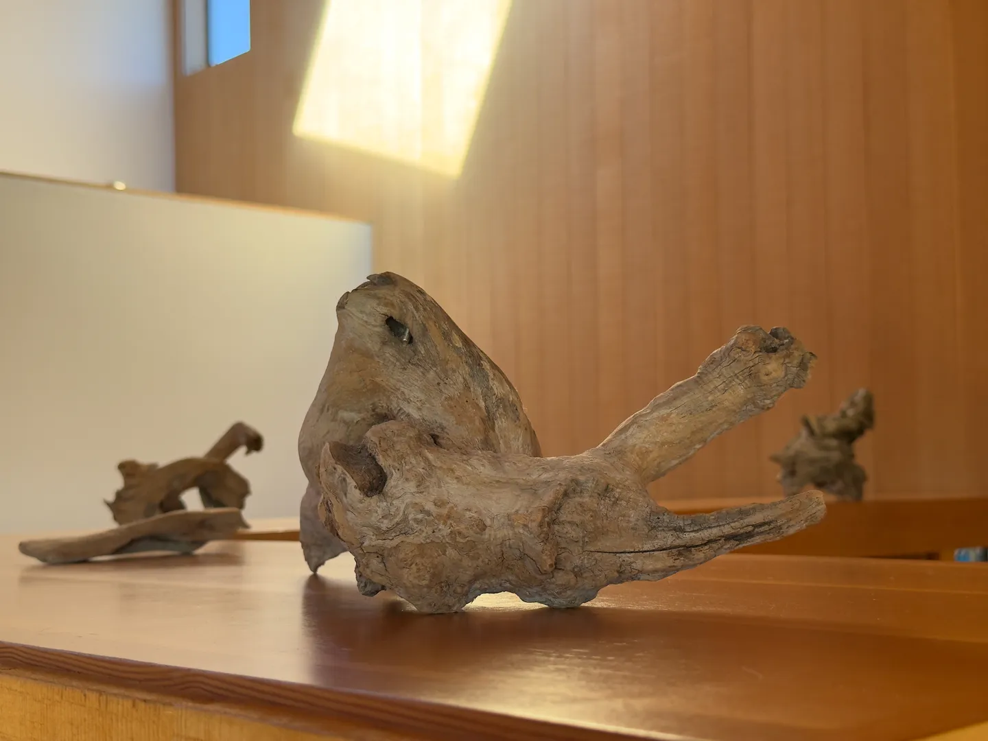 A close-up view of weathered driftwood pieces displayed on a wooden ledge.