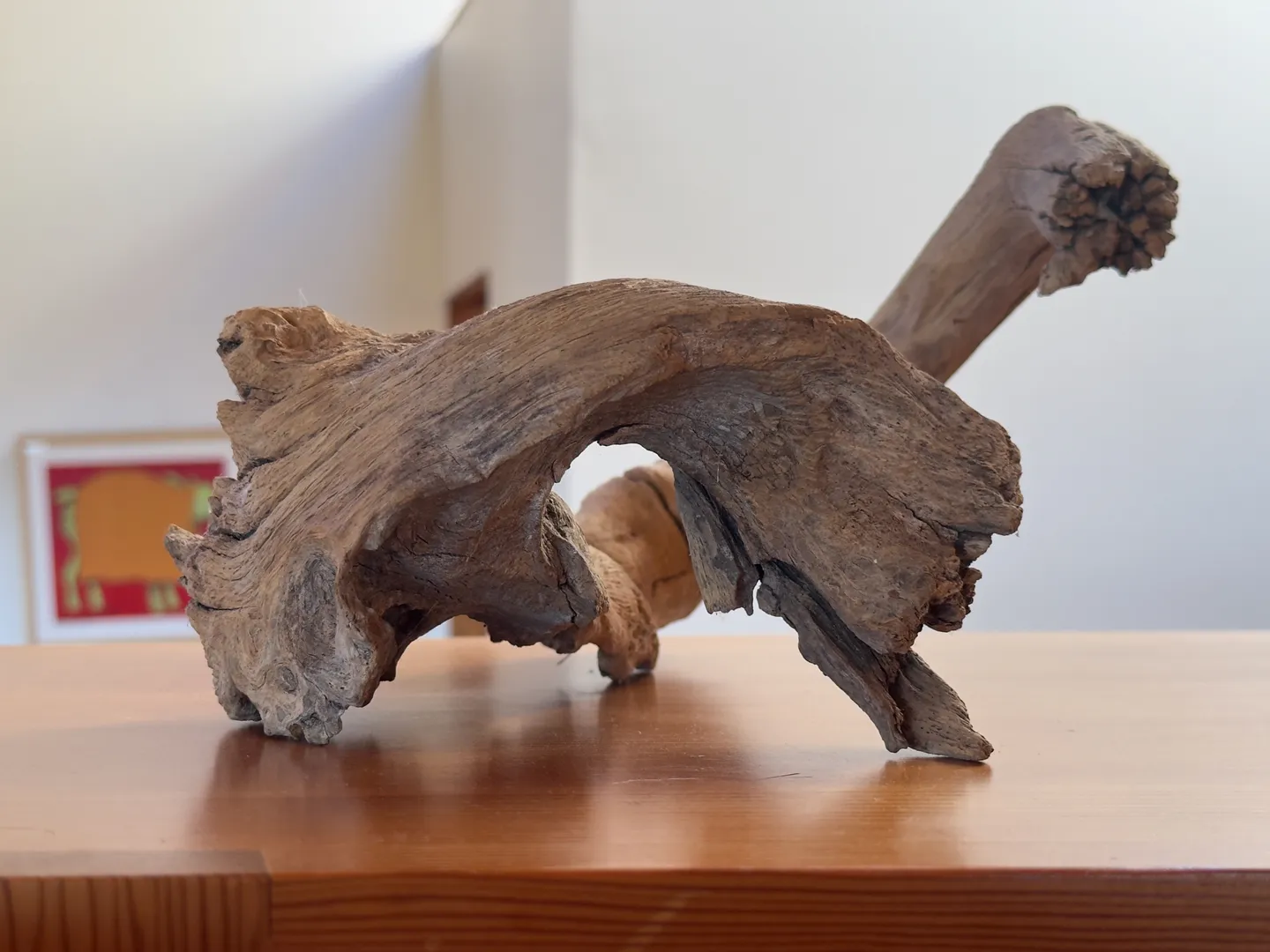 A close-up view of an organic piece of natural driftwood decor resting on a smooth wooden tabletop.