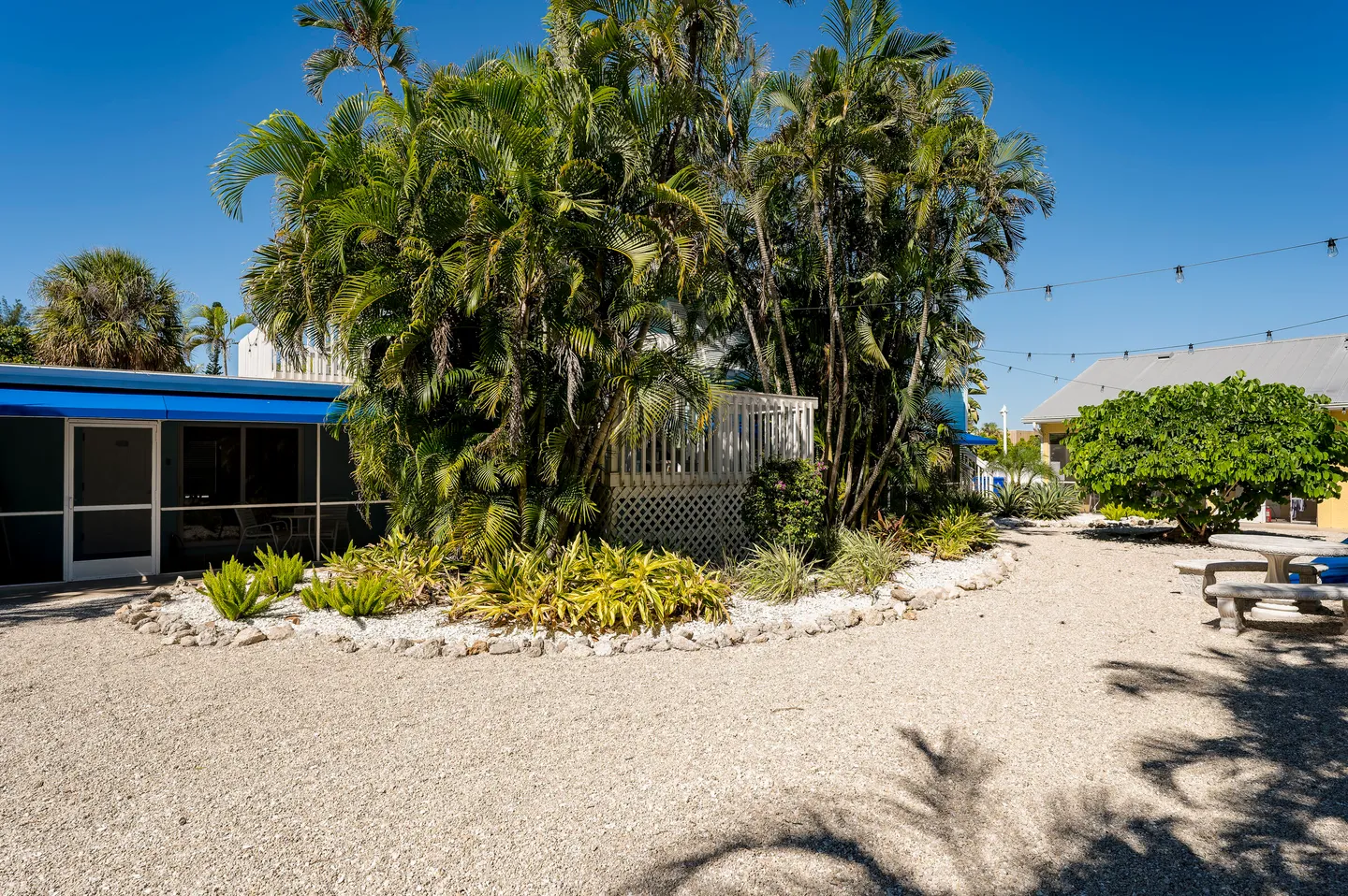 Outdoor gravel courtyard featuring tropical palm trees, garden beds, a screened porch area, and outdoor seating under a clear blue sky.