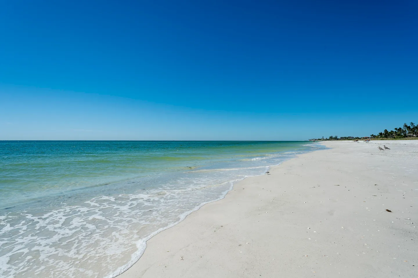 A wide view of a white sand beach meeting turquoise ocean water under a clear blue sky.