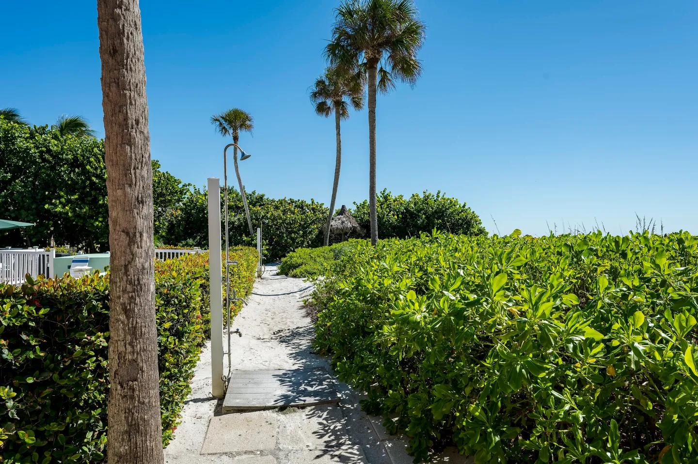 A sandy pathway with an outdoor shower station bordered by lush green hedges and tall palm trees under a bright blue sky.