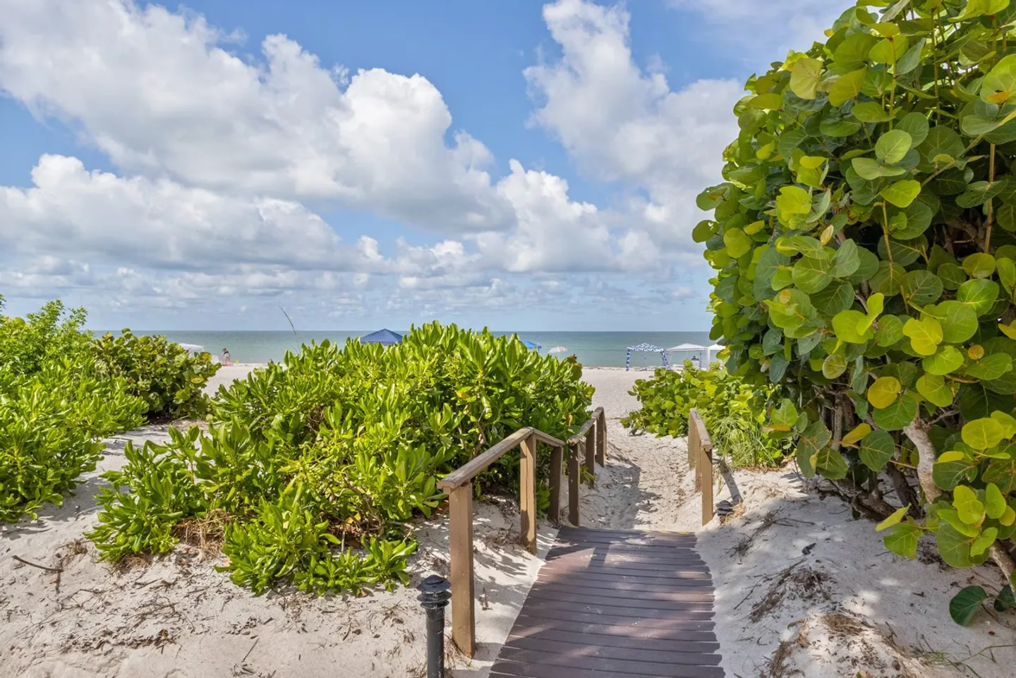 A wooden boardwalk path with railings leading through sand dunes and lush green foliage toward the ocean.