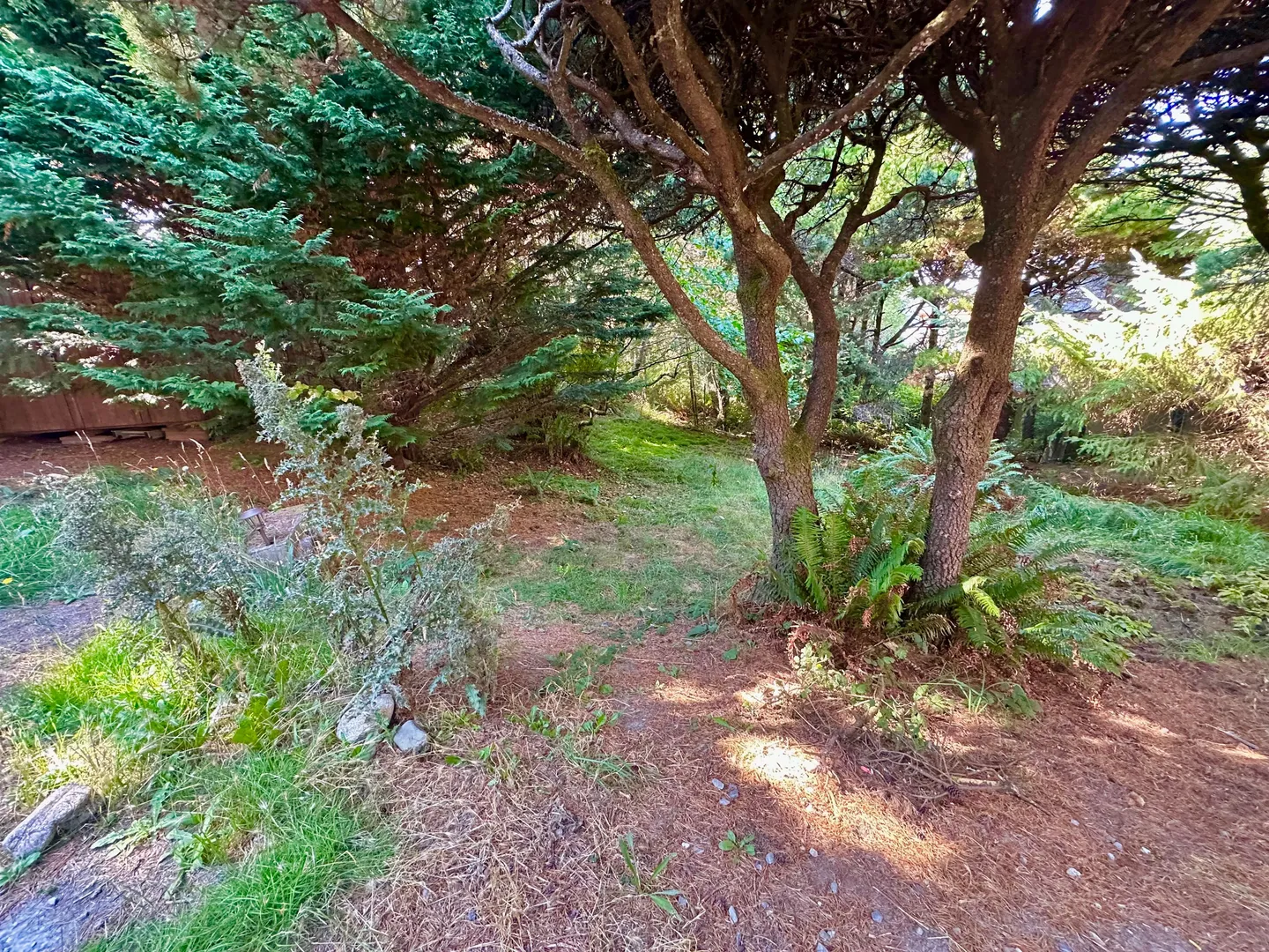 Home photo 7