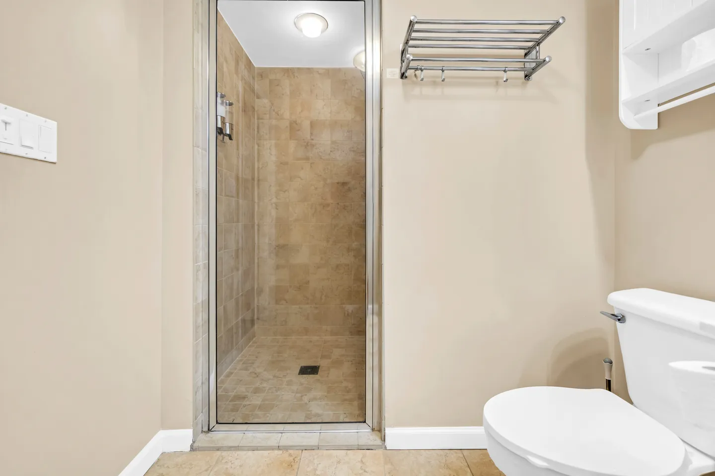 Bathroom showing a tiled walk-in shower with a glass door, a metal towel rack, and a white toilet.