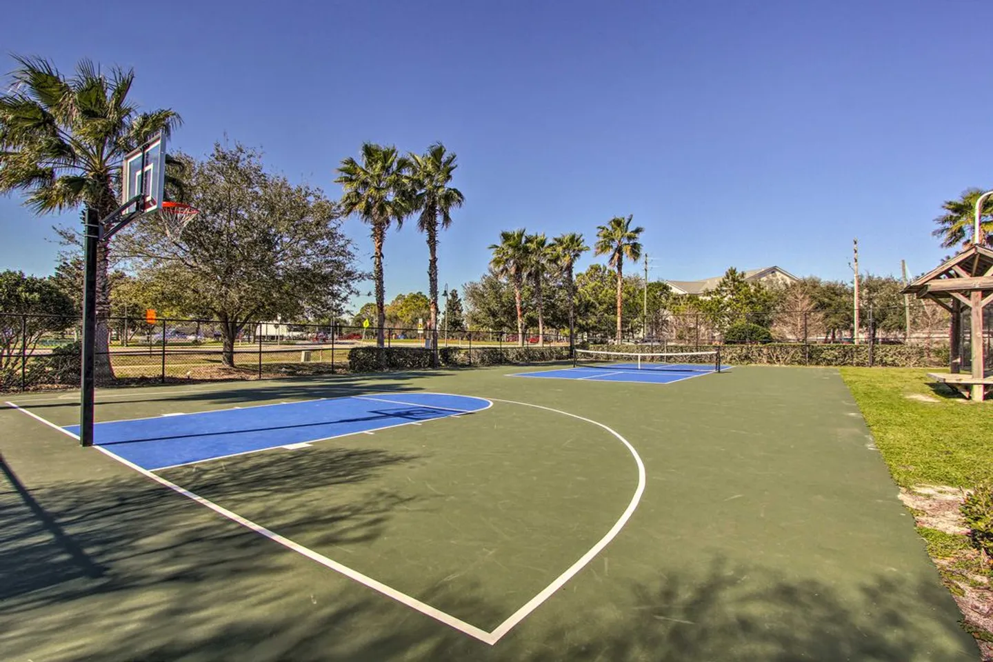 Outdoor sports court featuring a basketball hoop and a pickleball or tennis net under a clear blue sky surrounded by palm trees.