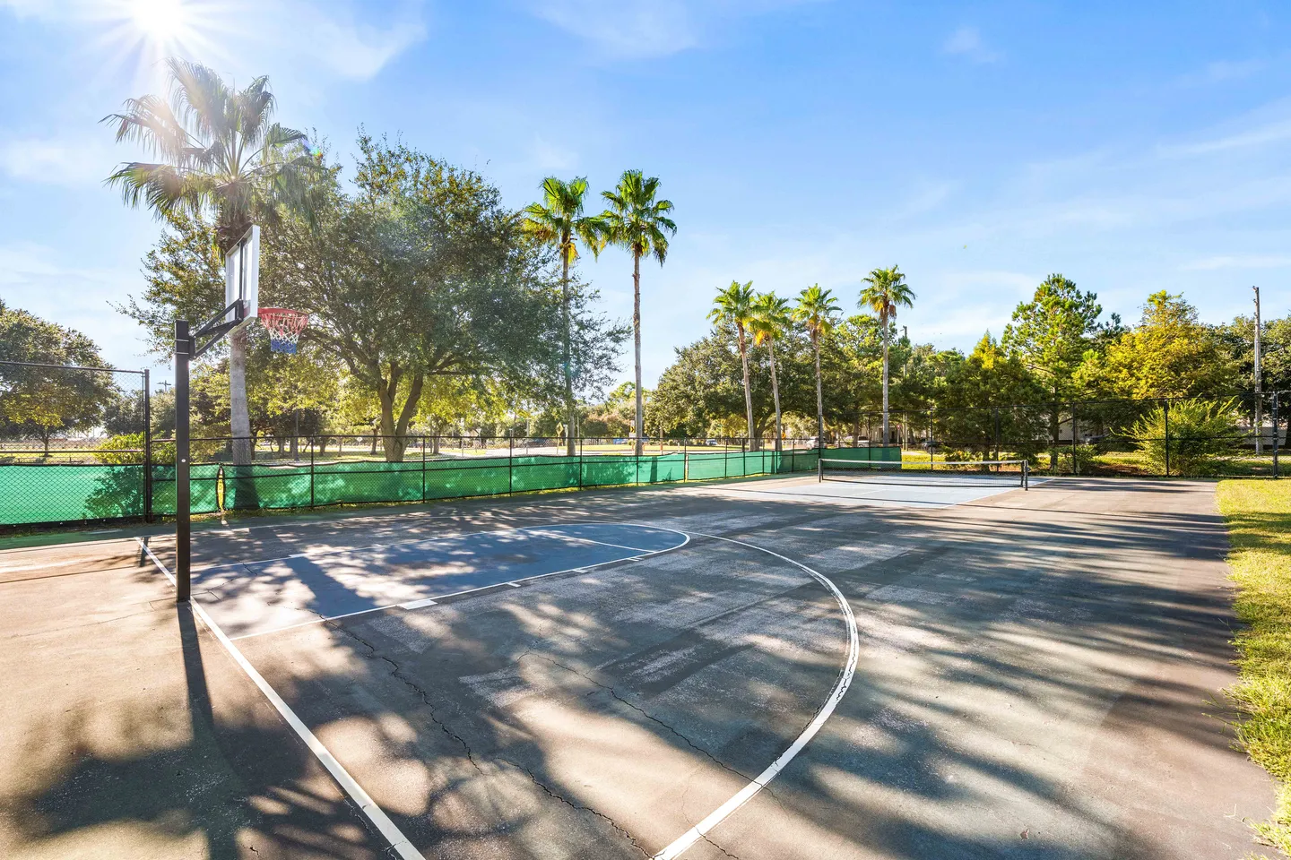 Outdoor sports court featuring a basketball hoop and marked key, bordered by fencing, palm trees, and green lawn under a sunny sky.