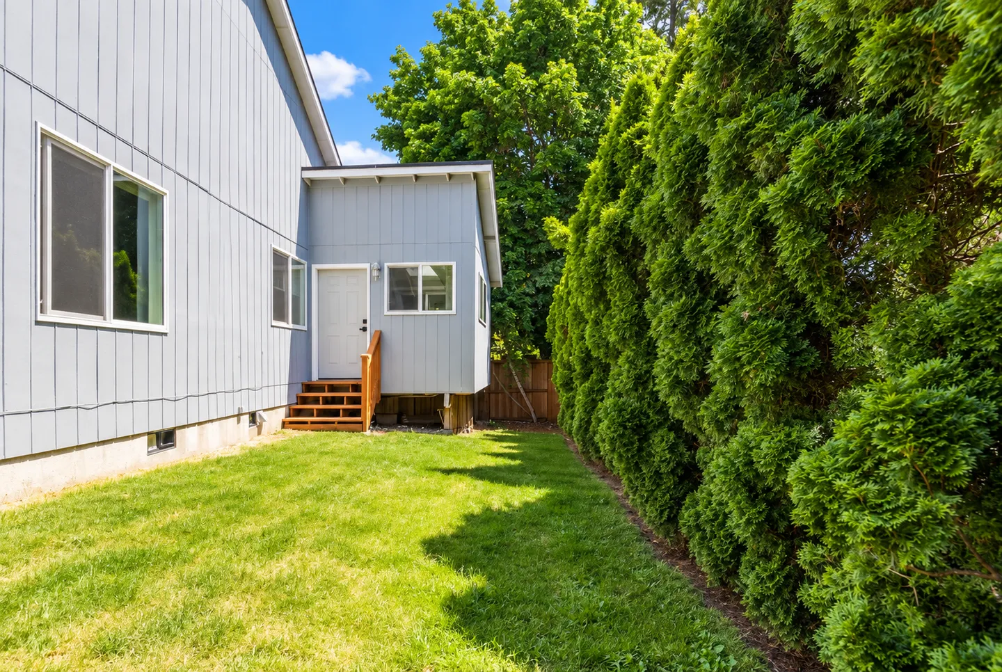 Grassy side yard bordered by a dense tall hedge alongside a house with light blue-gray siding and wood steps.