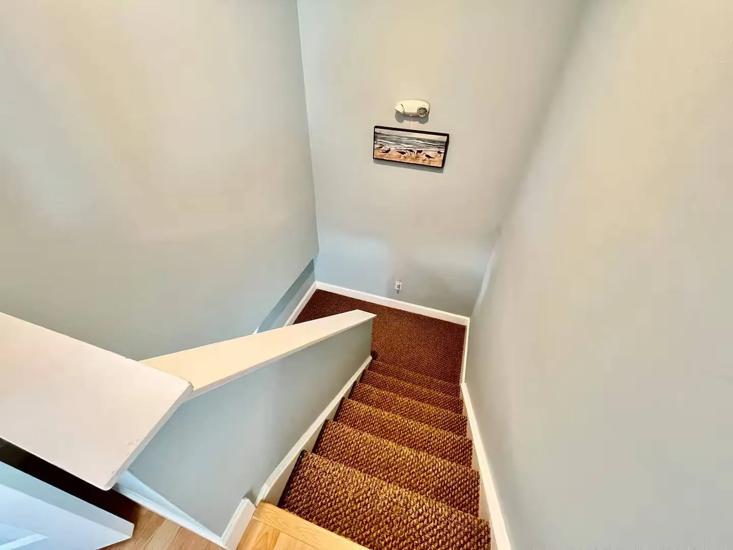 Looking down a carpeted staircase with light blue walls and a framed picture on the far wall.
