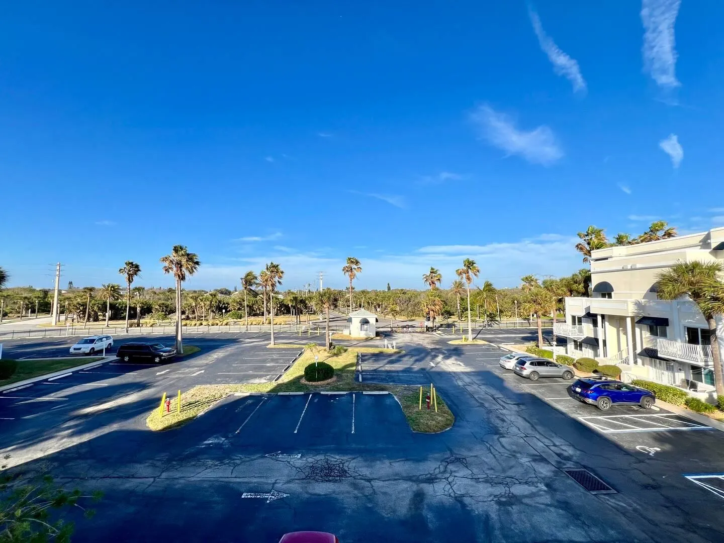 Elevated view of an asphalt parking lot with parked cars, surrounded by palm trees under a clear blue sky.