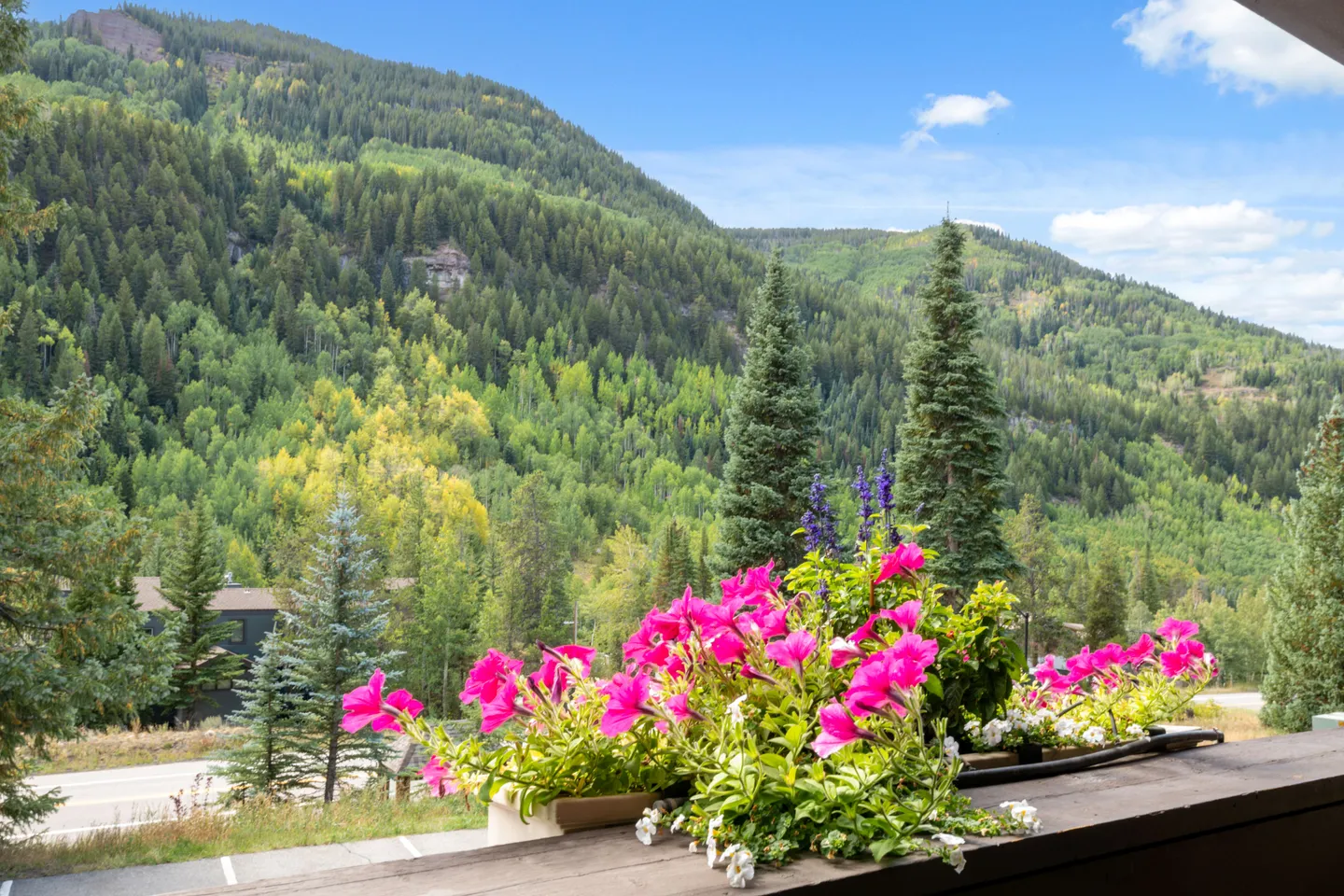 A deck railing with a planter box filled with vibrant pink petunias overlooking a forested mountain under a blue sky.