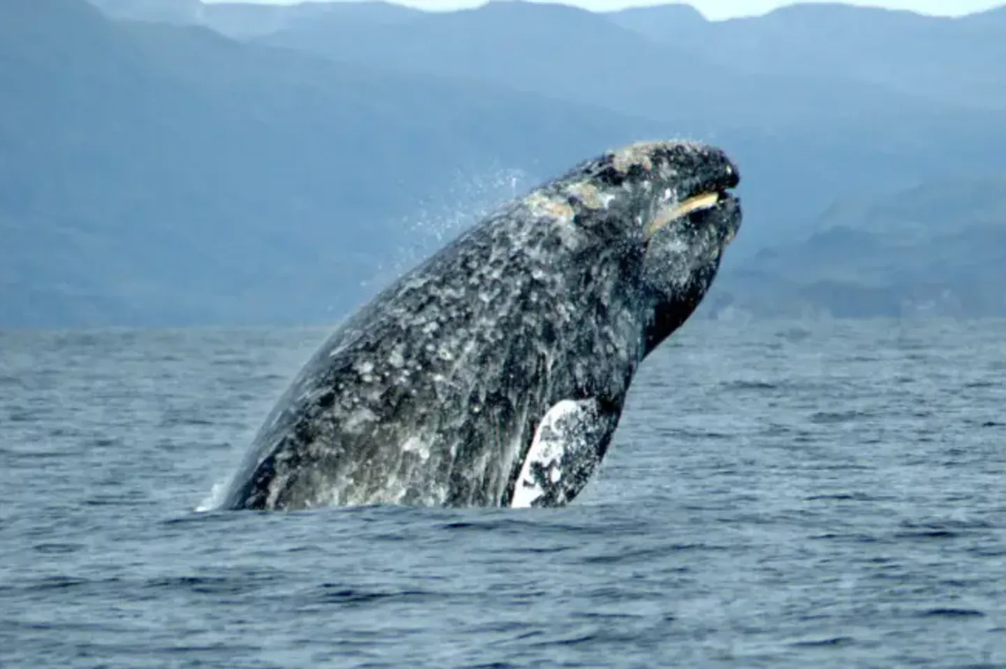 Home photo 31