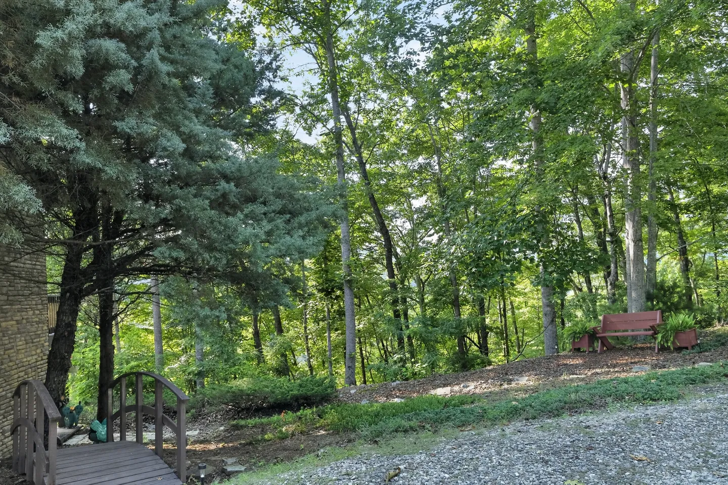 A wooded outdoor yard featuring a small wooden footbridge, gravel ground, and a wooden park bench nestled among tall green trees.