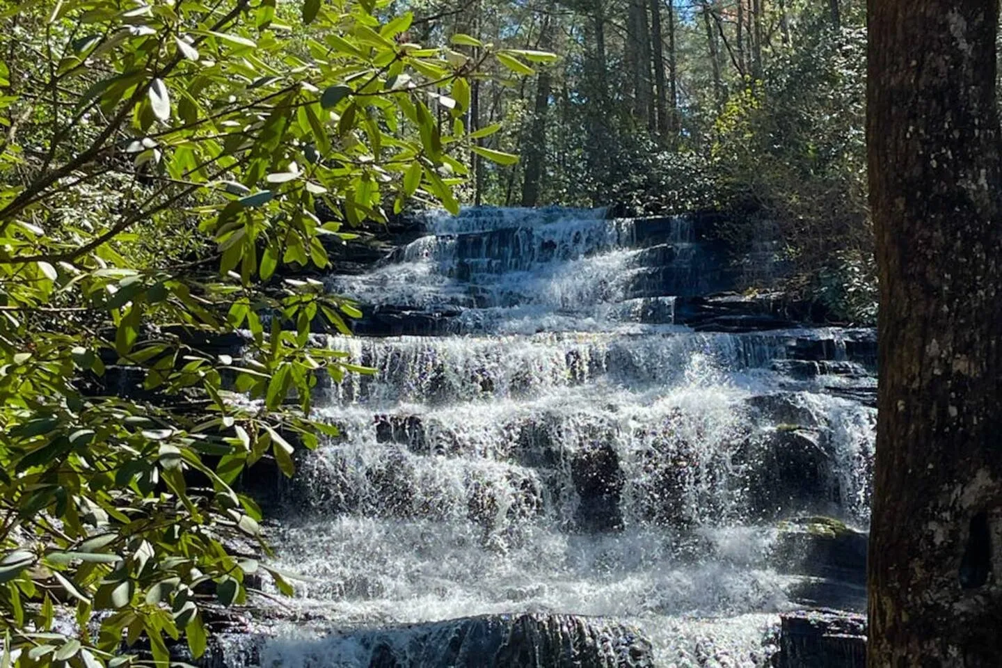 A cascading tiered waterfall flowing over dark rocks surrounded by lush green trees and foliage.