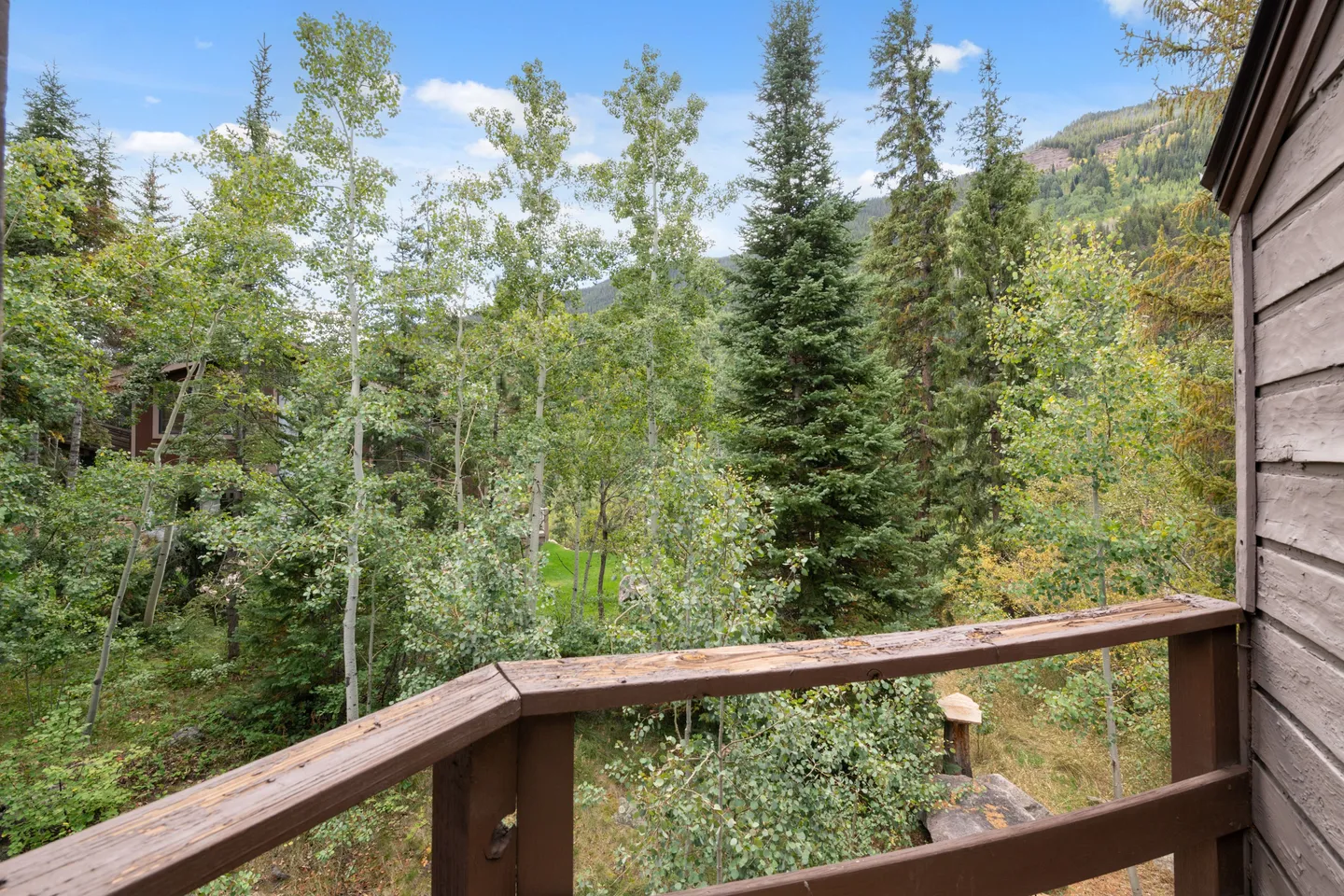 View of lush green forest, aspens, and evergreen trees from a wooden deck or balcony railing.