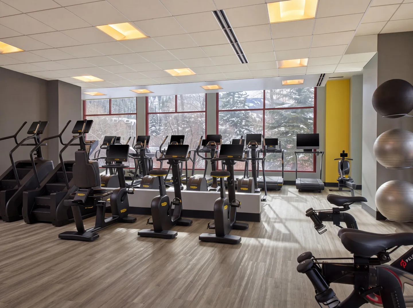 Bright fitness center filled with stationary bikes, treadmills, stair climbers, and exercise balls facing large windows overlooking snowy trees.