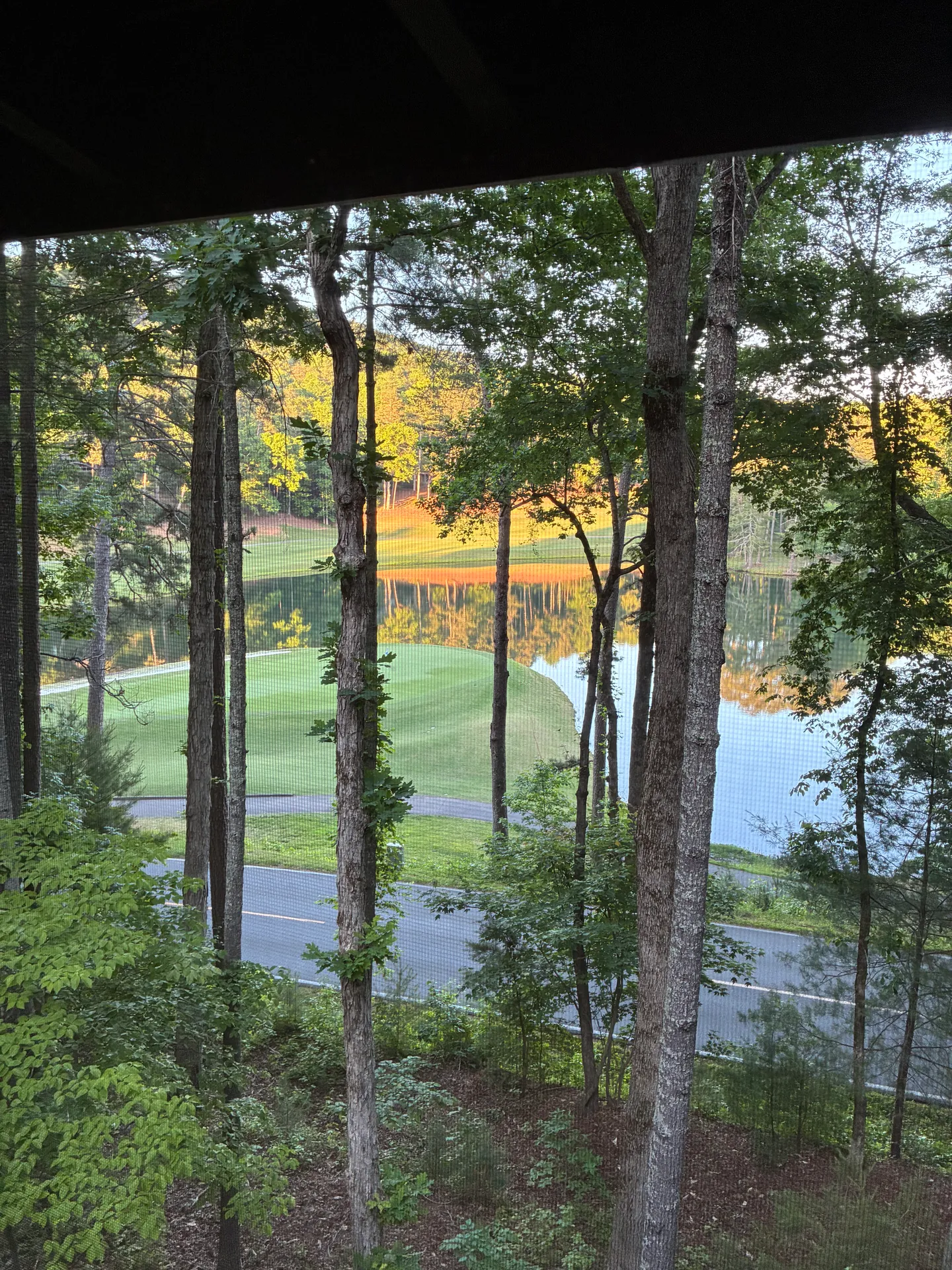 Home photo 6