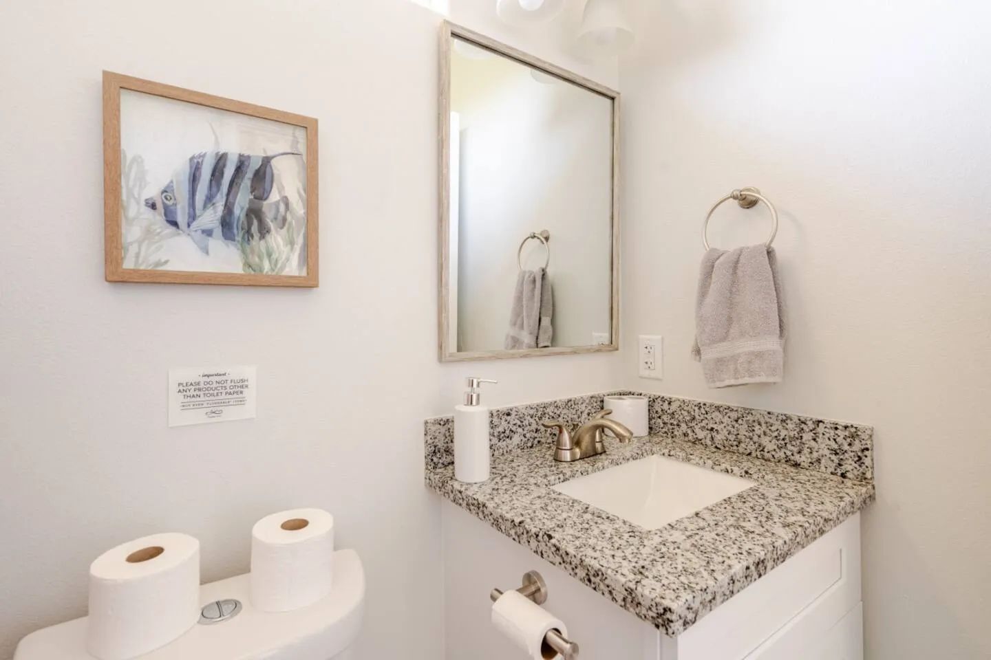 Bathroom vanity with speckled stone countertop, framed mirror, and framed fish artwork on the wall.