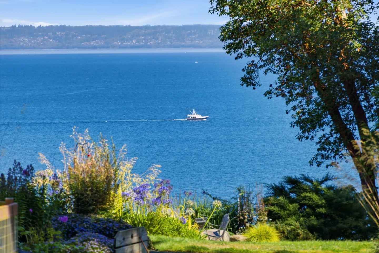 Elevated view of a wide blue body of water with a boat cruising across and flowers in the foreground.