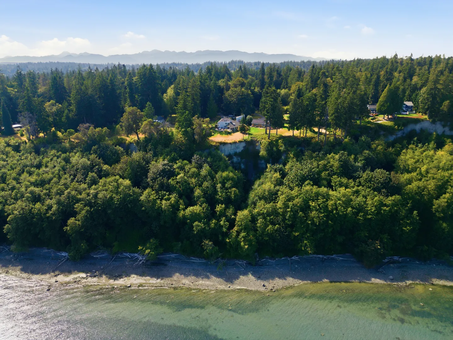 Aerial view of a coastal bluff with dense green trees, a shoreline below, and a house perched above the cliffside.