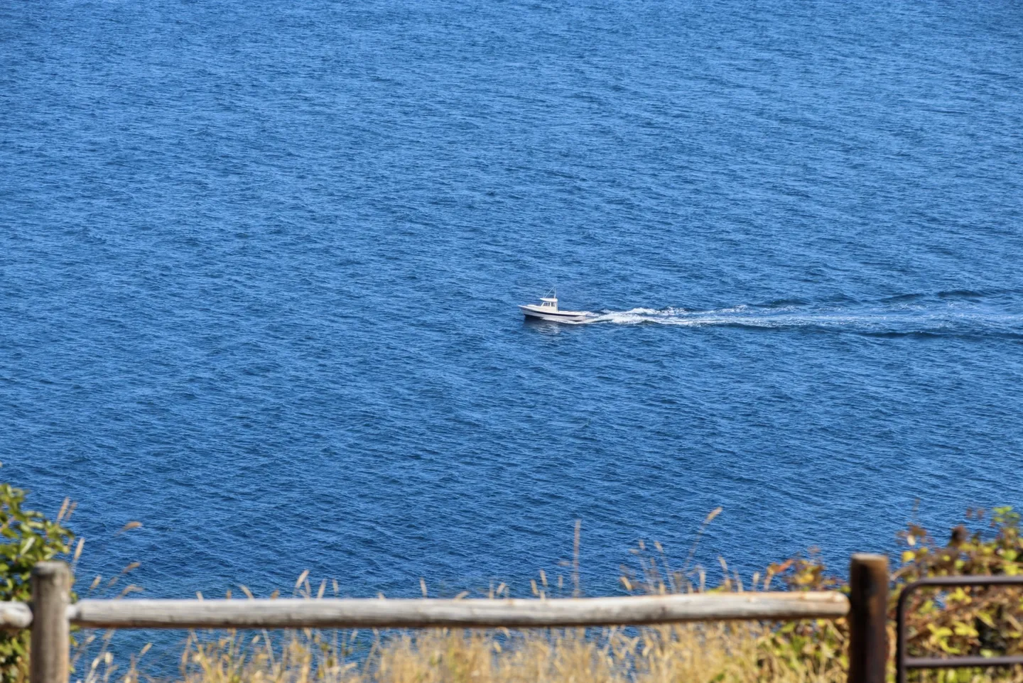 A small white motorboat cruising across deep blue water viewed from an elevated spot with a wooden rail in the foreground.