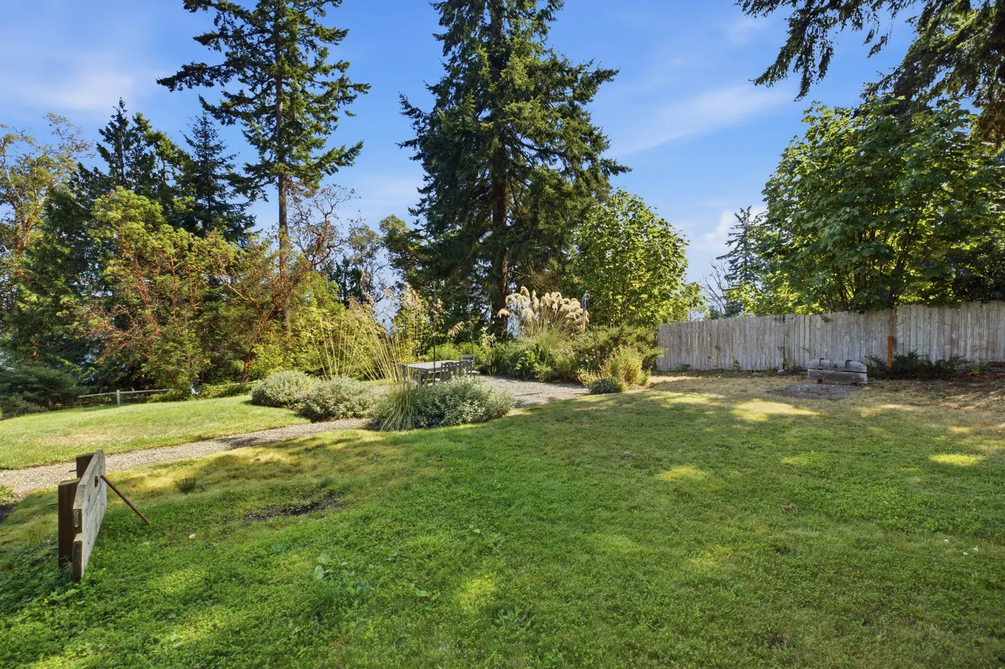 A wide view of a spacious grassy backyard bordered by tall evergreen trees, ornamental grasses, and a wooden fence under a blue sky.