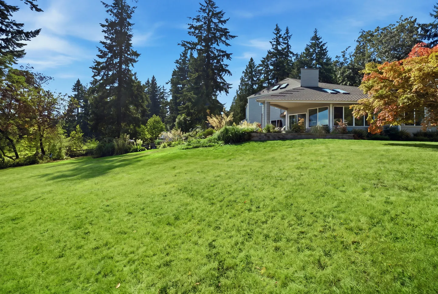 Wide, sloping green lawn leading up to the back of a house surrounded by tall pine trees under a blue sky.