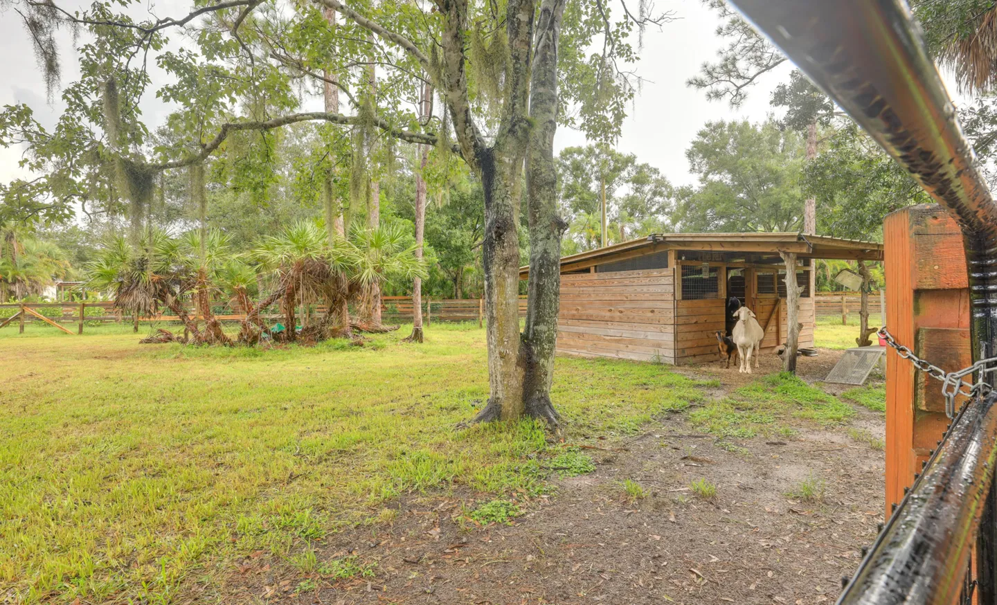 Home photo 12