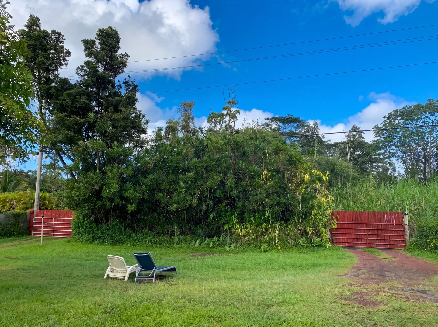 A wide grassy yard with two lounge chairs facing dense green tropical trees, flanked by red gates under a partly cloudy blue sky.