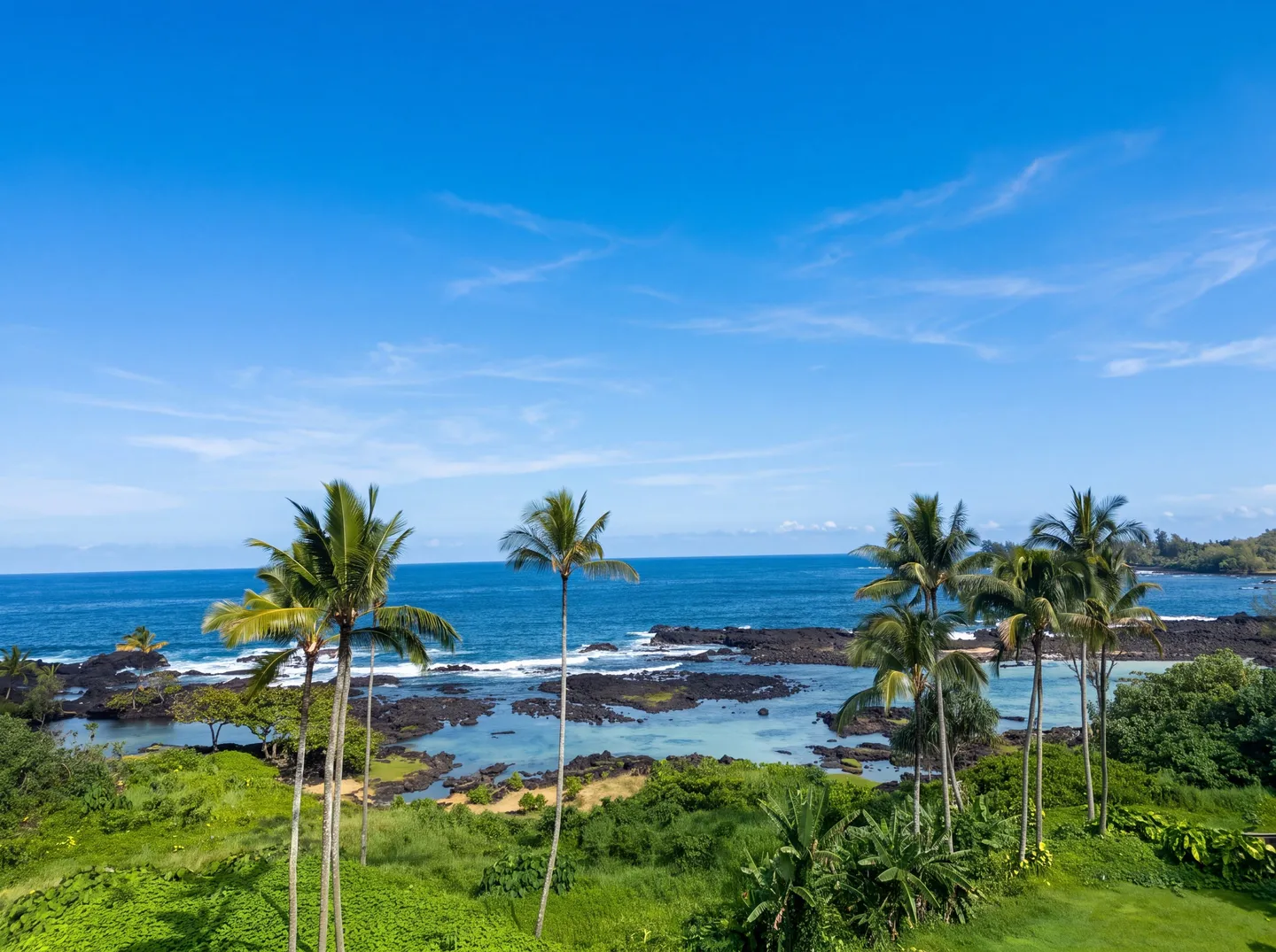 Elevated scenic view of palm trees and tropical greenery overlooking a rocky ocean cove under a clear blue sky.