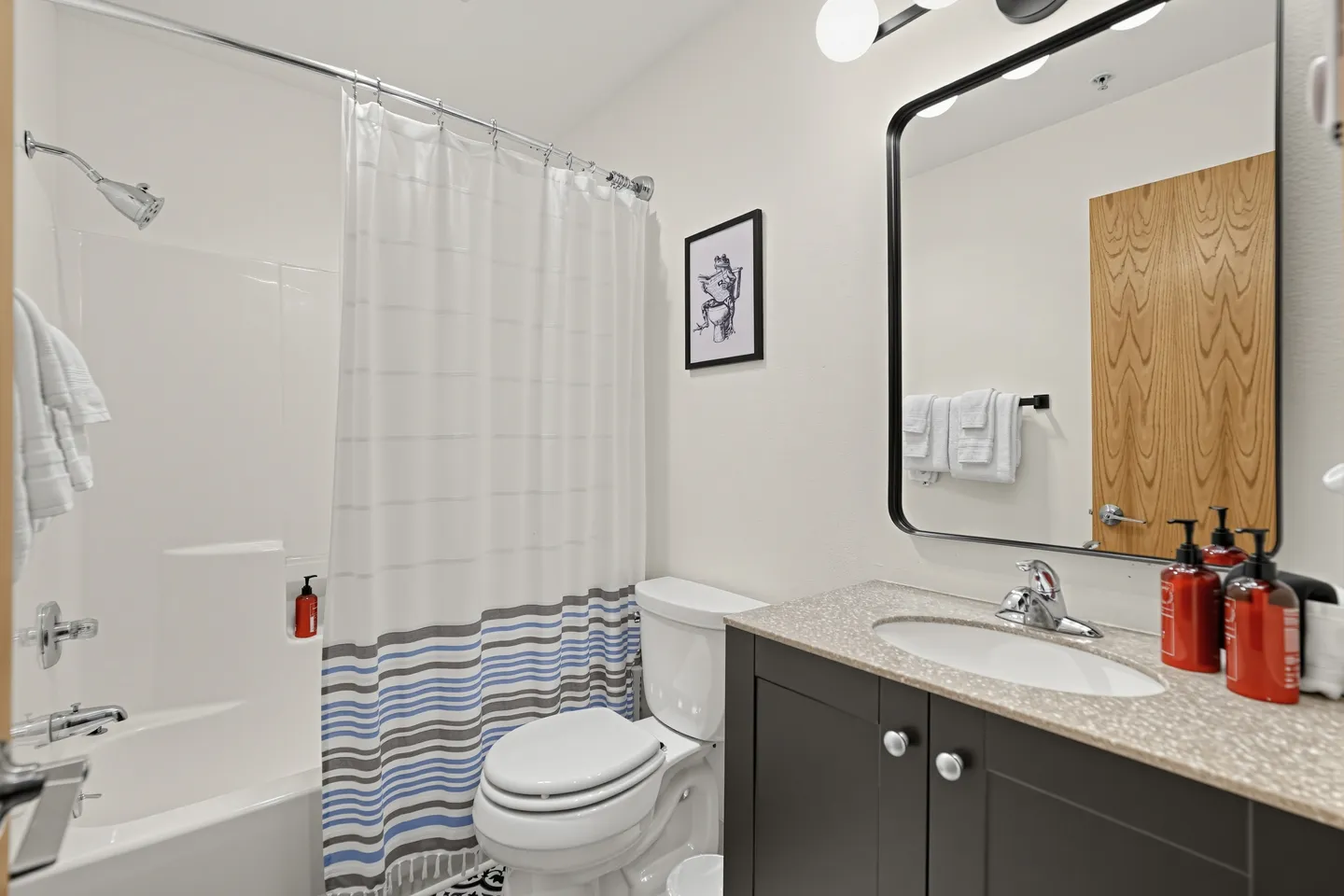 Bathroom with a shower-tub combination, white toilet, dark vanity with an undermount sink, and rounded rectangular mirror.