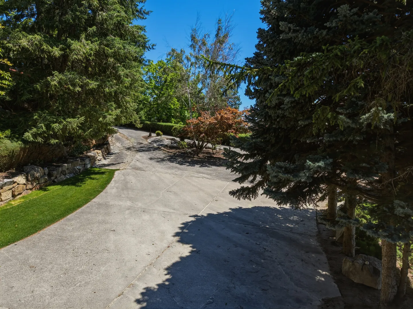 A concrete driveway bordered by mature evergreen and deciduous trees, with a stone retaining wall and grass along the left edge under a bright blue sky.