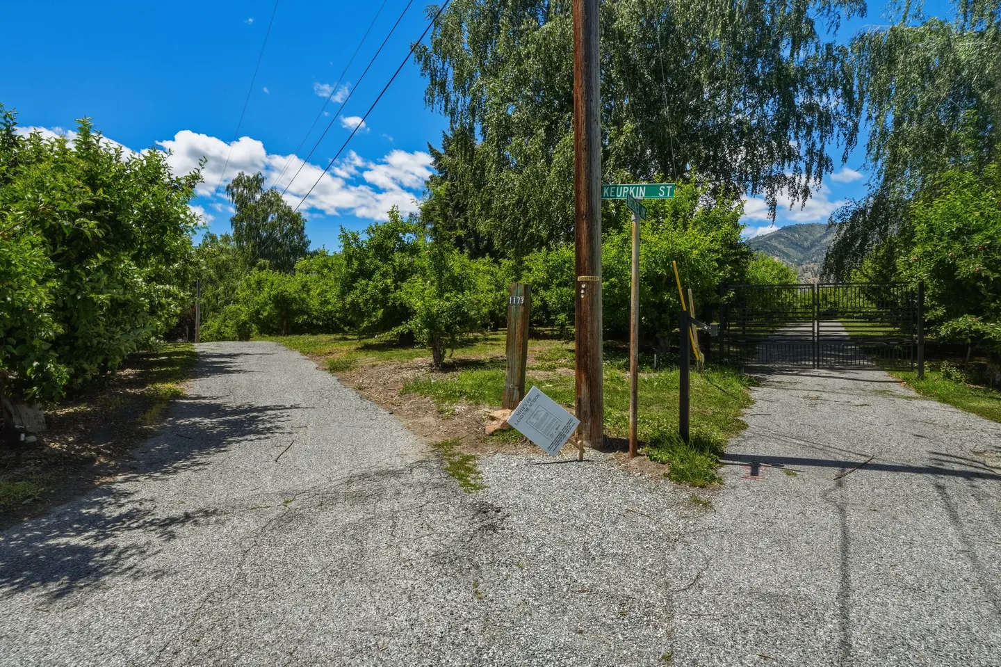 A paved rural driveway splitting into two paths, flanked by green trees and orchards under a blue sky.
