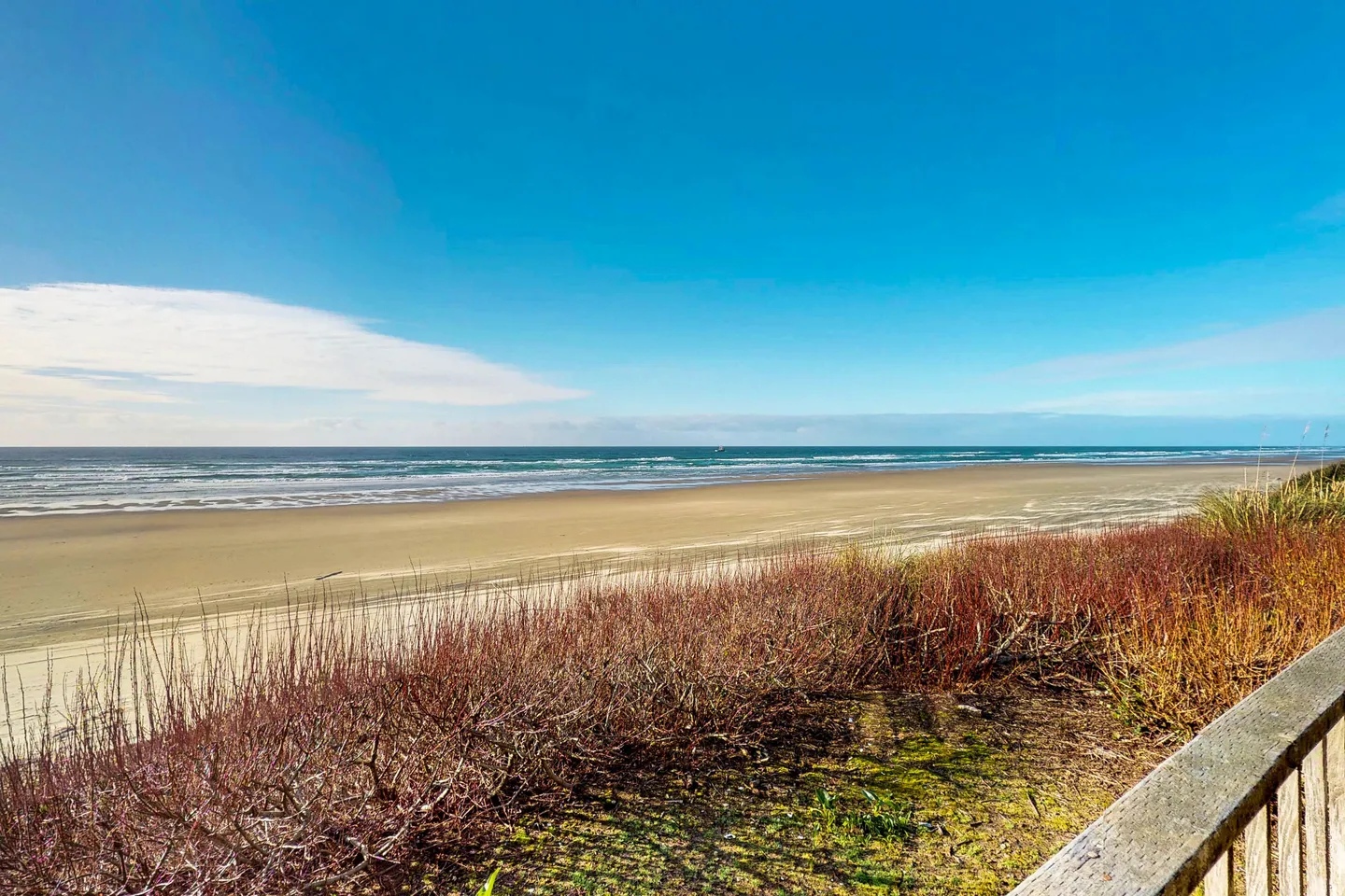 Elevated view overlooking coastal brush and a broad sandy beach with ocean waves under a blue sky.