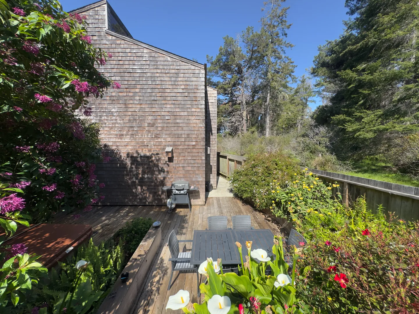 Home photo 11