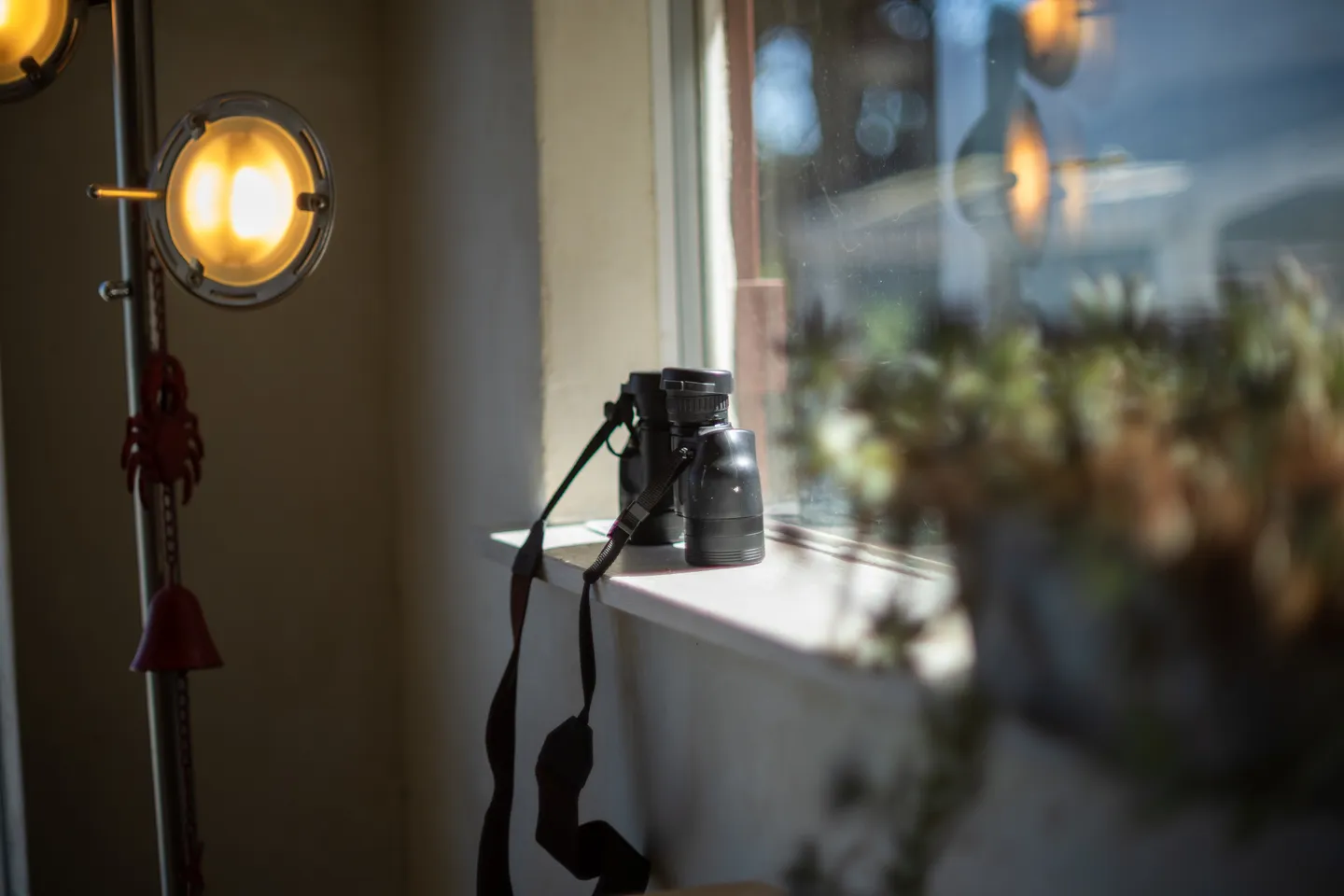 Home photo 5