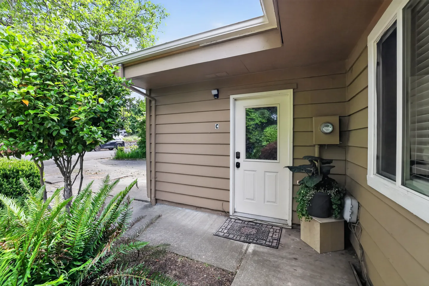 Home photo 15