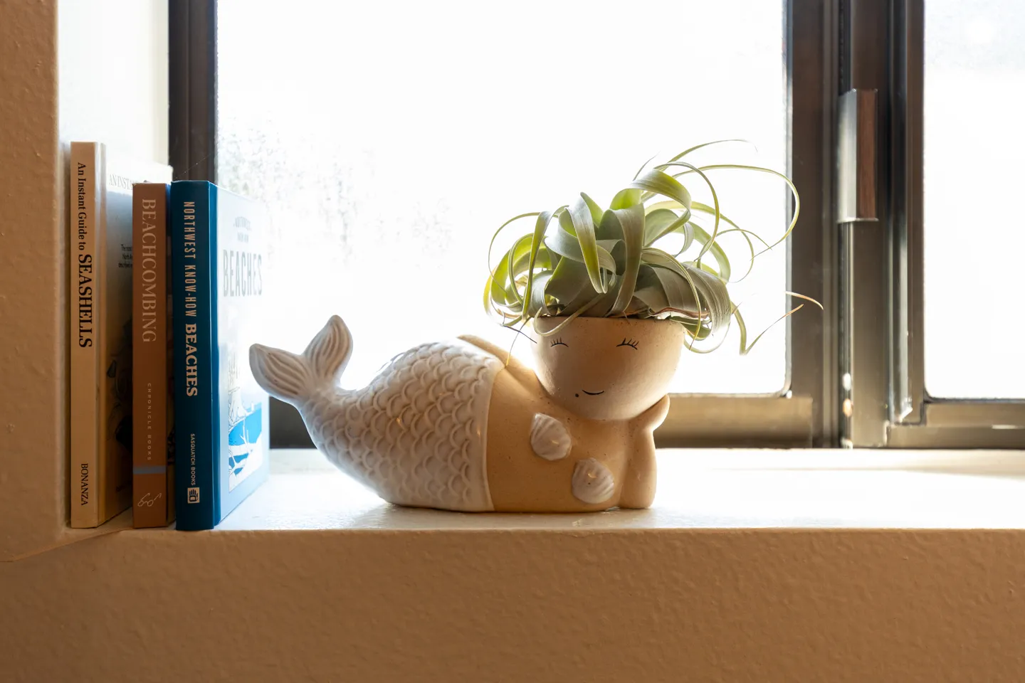Home photo 10