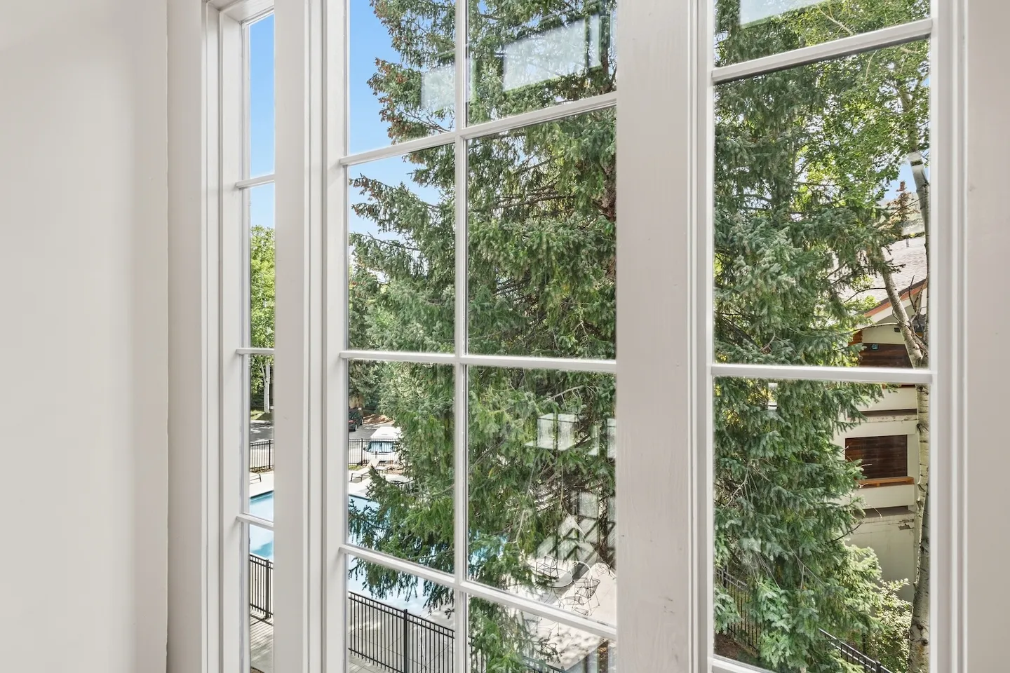 View through a white multi-pane window showing an evergreen tree and an outdoor pool area below.