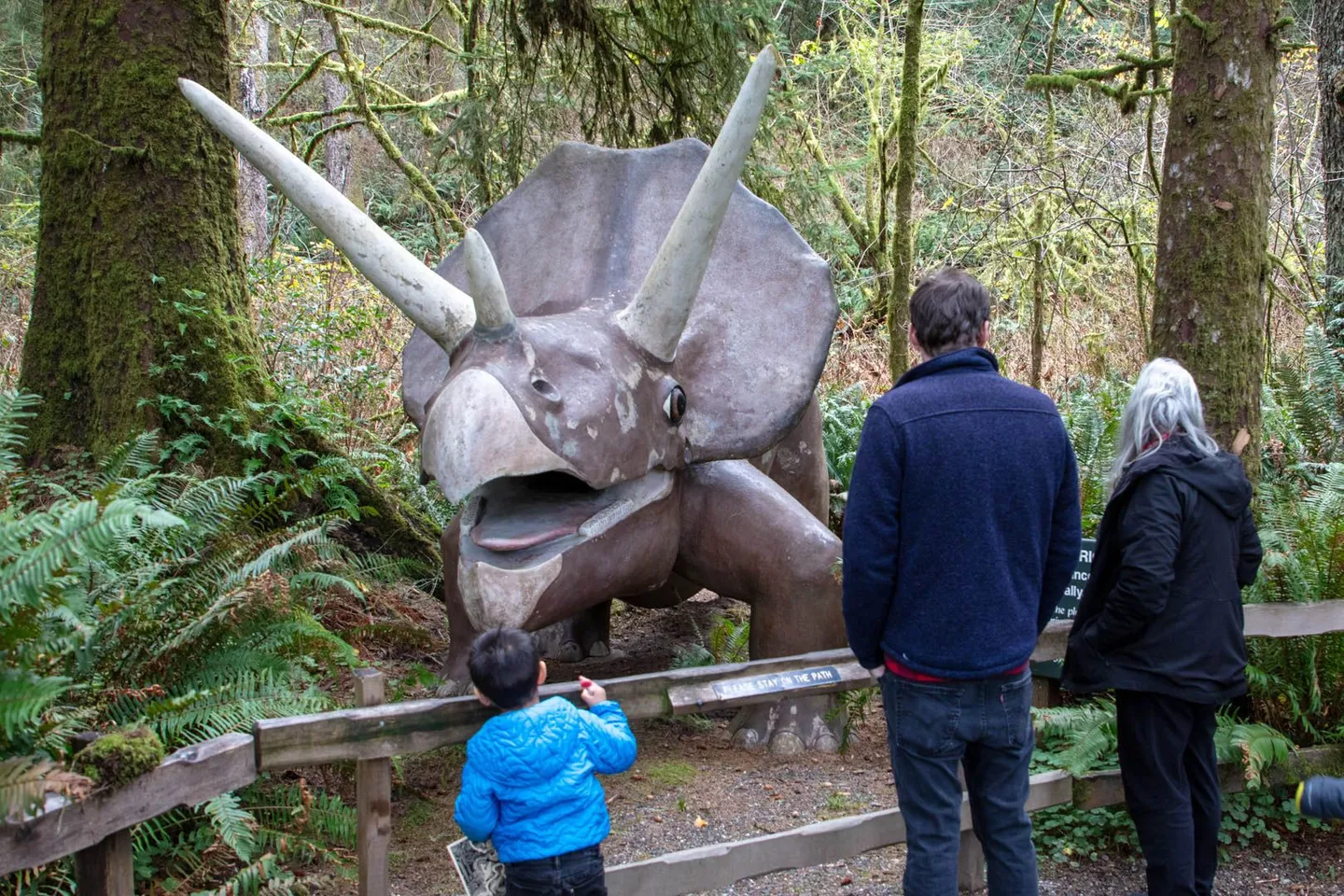 Home photo 16