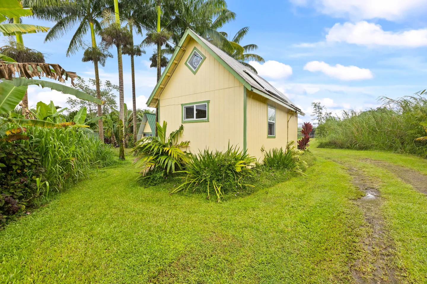 Exterior of a small yellow cabin with green trim set in a grassy yard surrounded by palm trees and tropical vegetation.