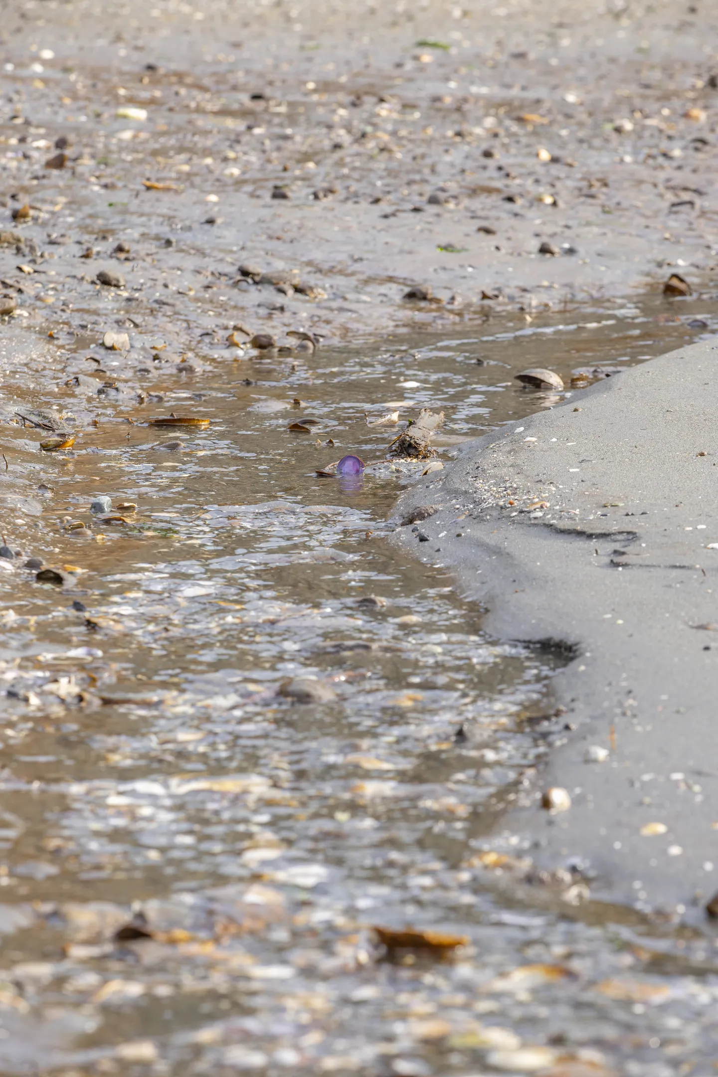 Home photo 53