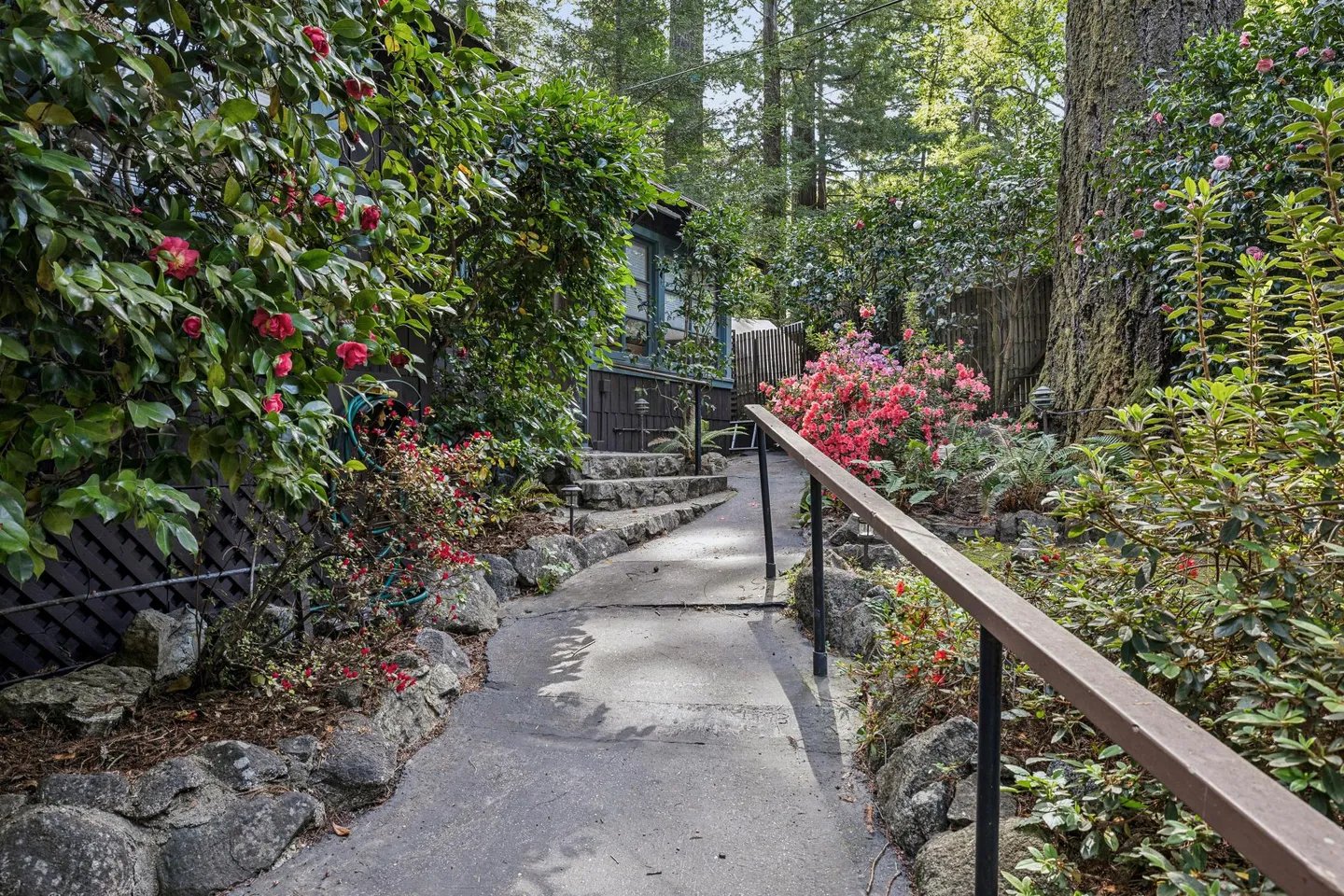 Home photo 7
