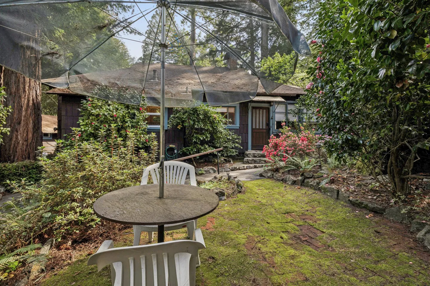 Home photo 9
