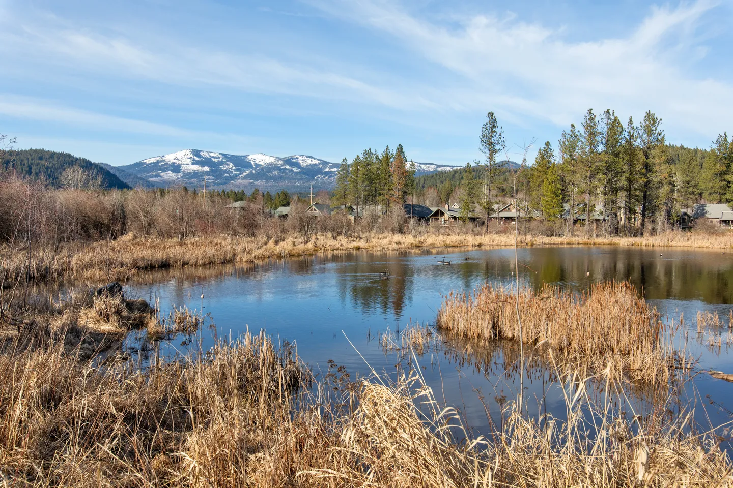A calm pond framed by dry grasses with houses, evergreen trees, and snow-capped mountains in the background under a blue sky.