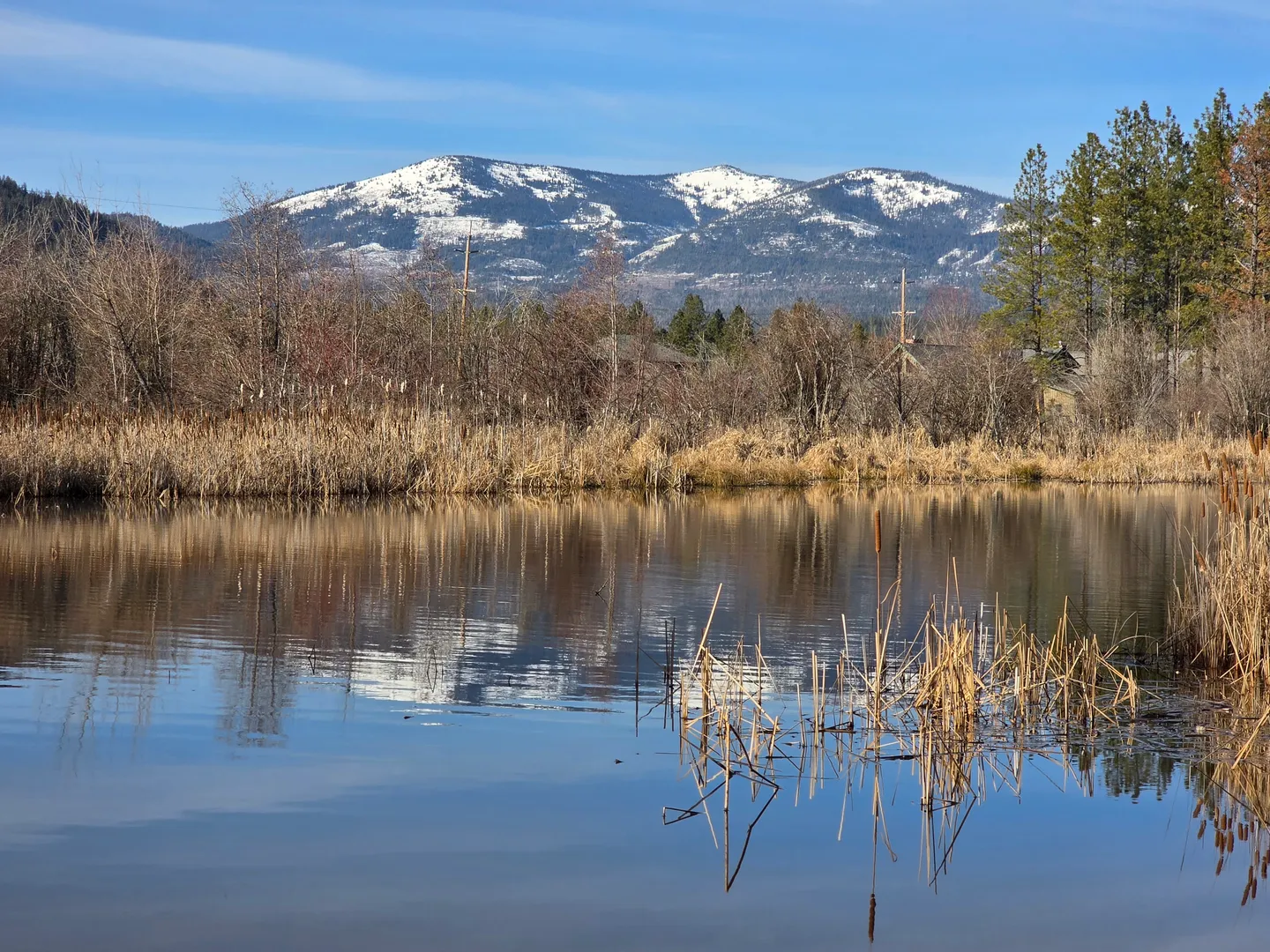Calm pond with dry reeds reflecting snow-dusted mountains under a clear blue sky