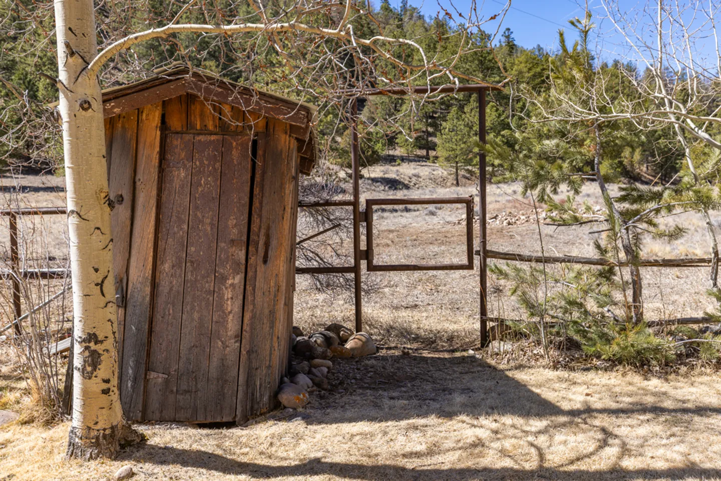 A rustic wooden outhouse stands beside an aspen tree and a metal pipe fence outdoors.